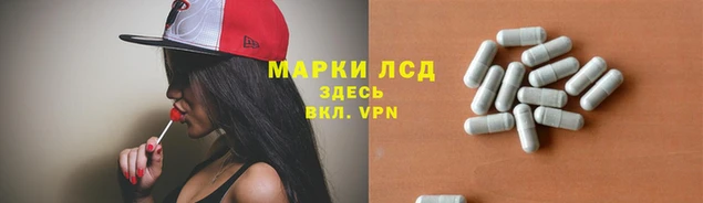 трава Аркадак