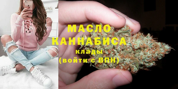твердый Арсеньев