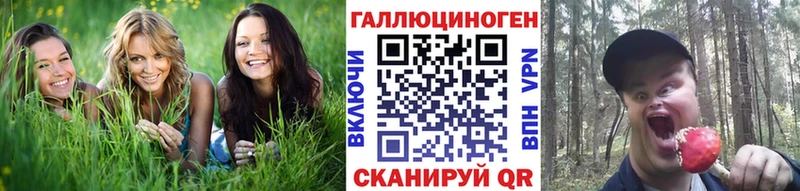 Псилоцибиновые грибы MAGIC MUSHROOMS  купить закладку  Сафоново 